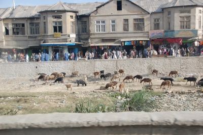 Kabul Volk.jpg